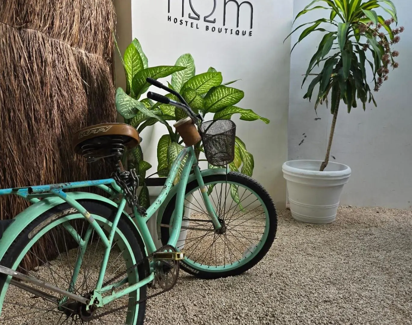 Hom Hostel Boutique بلايا ديل كارمن 0*,