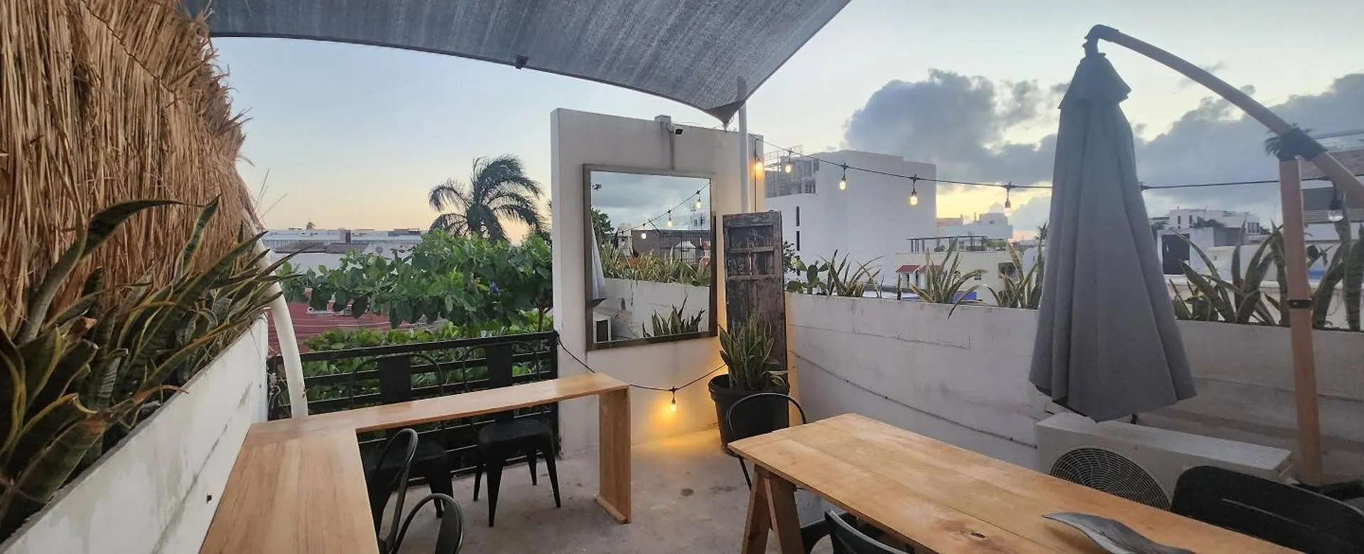Hom Hostel Boutique Playa del Carmen Mexico