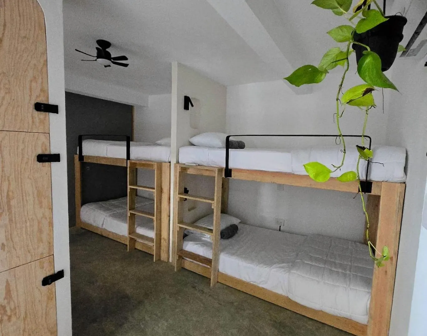 Hom Hostel Boutique Playa del Carmen