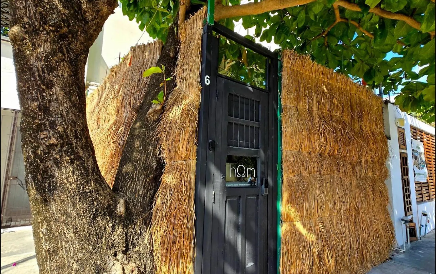 Hom Hostel Boutique Playa del Carmen Mexique