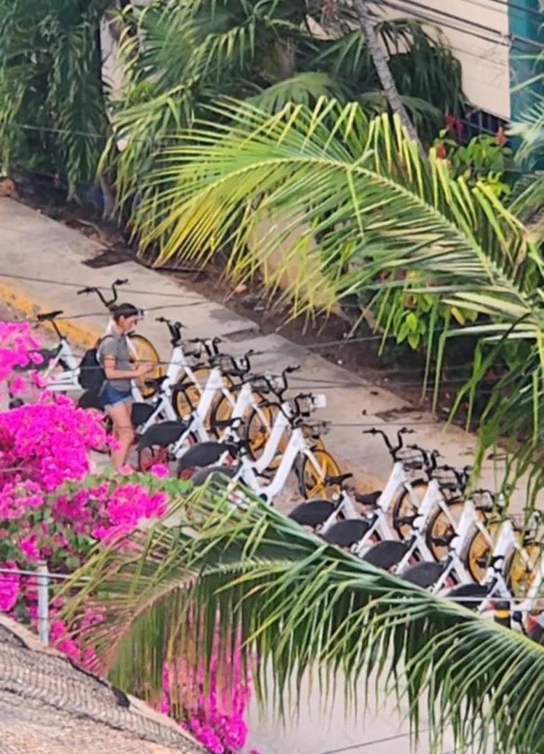 Hom Hostel Boutique Playa del Carmen