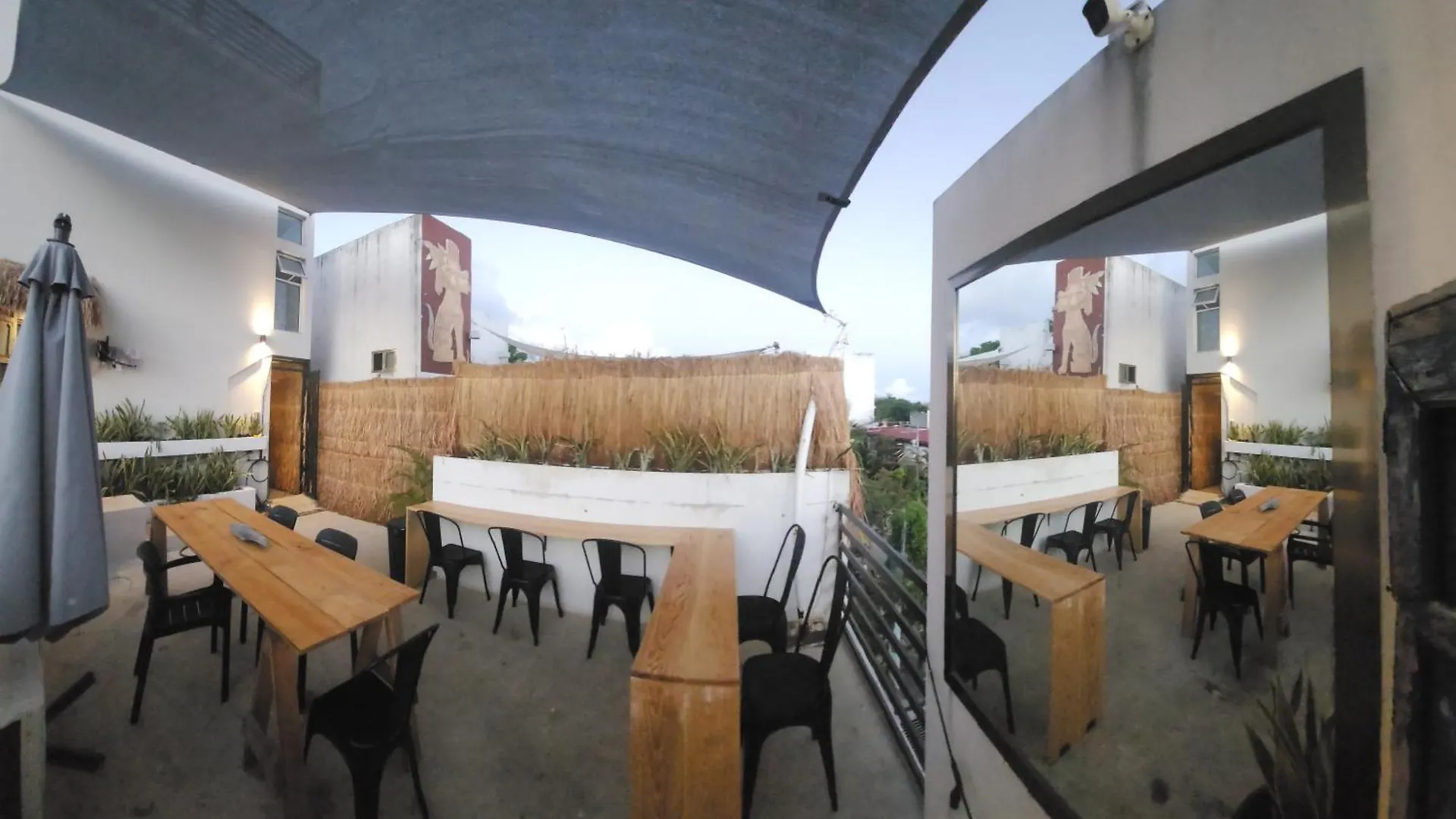 Hom Hostel Boutique Playa del Carmen